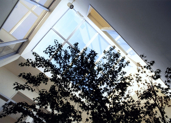 中庭のある狭小住宅